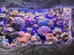 -南昌海洋公园