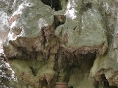 -老象峰