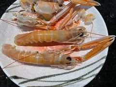 -daozao料理美术馆(东营店)