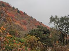-香山公园