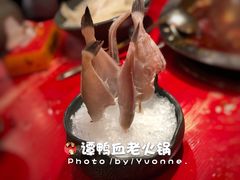 -谭鸭血老火锅(漳州路店)