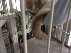 -白衬衫照相馆(五彩店)