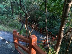 -广州白江湖森林公园