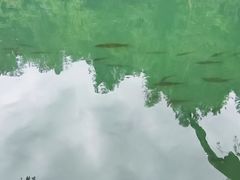 -小七孔景区东门售票处