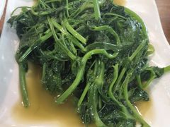 清炒豌豆尖-灯盏窝餐厅