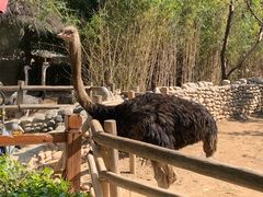 -北京野生动物园