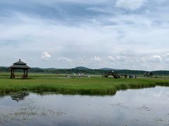 -塞罕坝国家级自然保护区