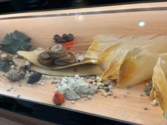 -喜上喜鸡煲翅(吉大店)