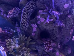 -暹罗海洋世界