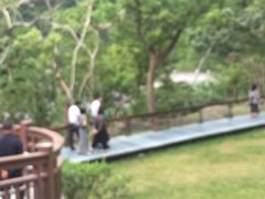 -太鲁阁公园