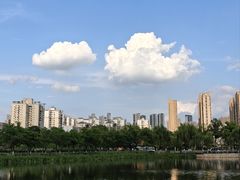 -武汉动物园