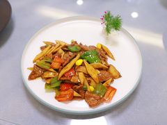 -丁老爷子苏香圆