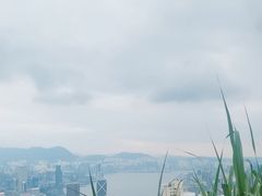 -太平山餐厅(山顶道店)