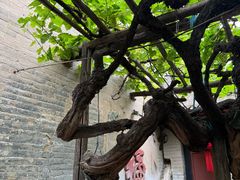 -康百万庄园