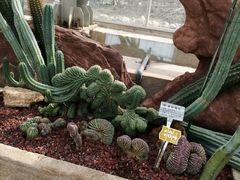 -南通洲际绿博园