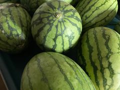 -庞各庄翠芳园西瓜蔬菜基地采摘园