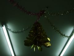 吃饭的教室-做了不起的80后