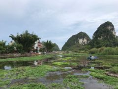 -靖西鹅泉风景区