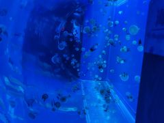 -左海海底世界