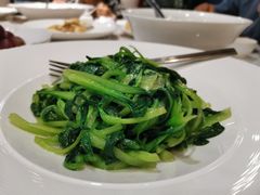 清炒鸡毛菜-天宁凯利时尚餐厅