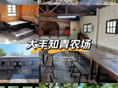 -大丰知青农场