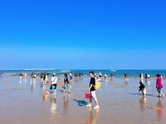 -巧克力渔家.小船海鲜胶东菜(万平口店)