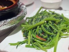 -煲煲好(朝阳门店)