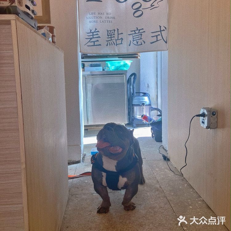 大连新晋咖啡店｜老板真够free的！