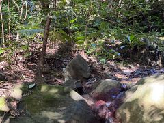 -七仙岭温泉国家森林公园