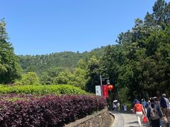 -敬亭山风景名胜区