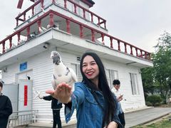 -在海一方公园