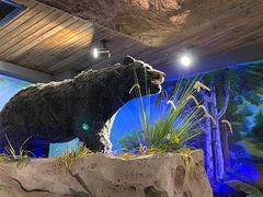 -火炉火自助餐(喜隆多店)