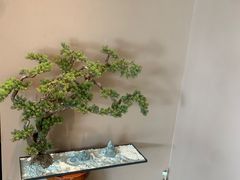 -端艾堂·SPA·艾灸(棕榈泉013店)