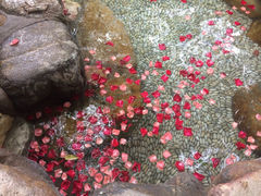 iphone_upload_pic-厦门日月谷温泉渡假村