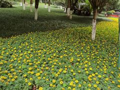 -龙头寺公园