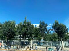 -首都医科大学附属北京天坛医院