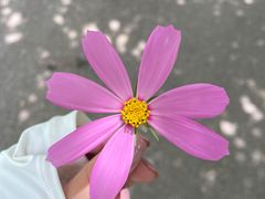 -武汉紫薇都市田园