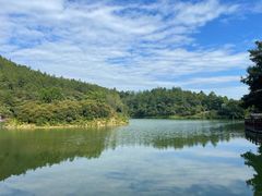 -广州白江湖森林公园