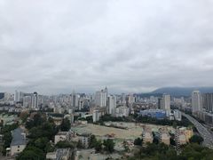 -金鸡山公园