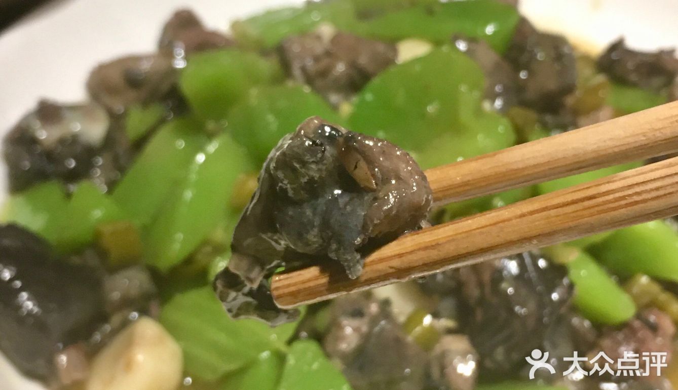 人生初尝蜗牛 | 地方小店的味道蜗牛的口感竟然不错