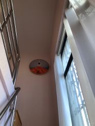 点击看大图 -薇兰专业脱毛连锁机构