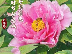 -国家植物园
