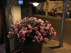 -Apollo·西班牙小酒馆(安福路店)