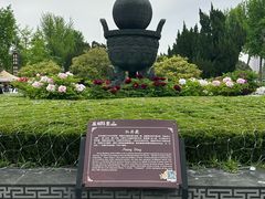 -曹州牡丹园