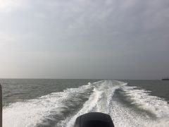 -月坨岛华清月府温泉酒店