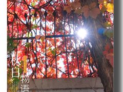 -香山公园