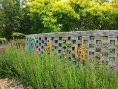 -武清南湖绿博园