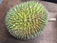 -汕头街四果汤