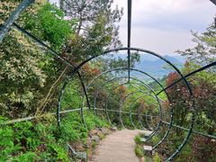 -马仁奇峰