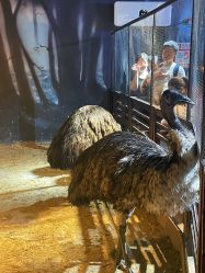 -酷嗒动物文化乐园(cutezoo西溪乐天城店)